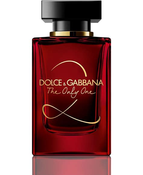 macy's dolce gabbana|dolce and gabbana perfume sale.